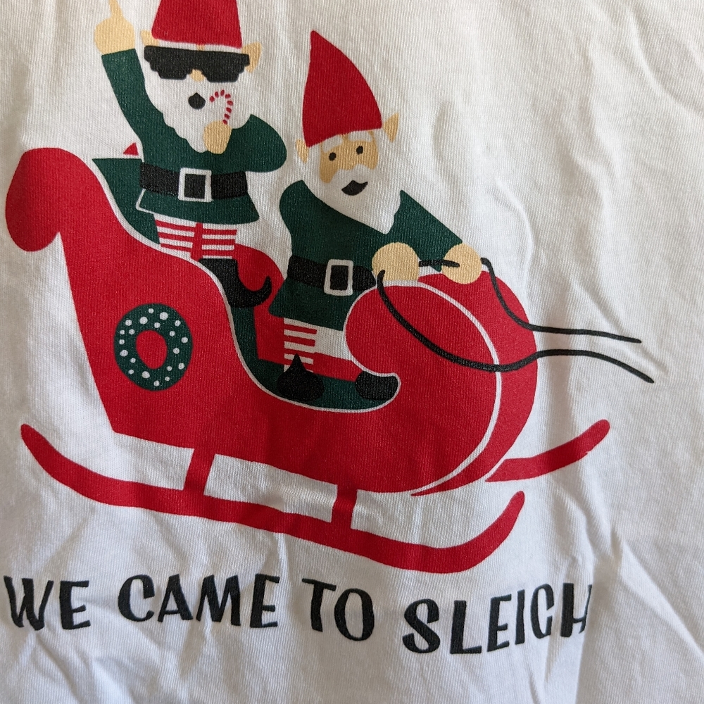 Holiday Christmas We Came to Sleigh Tshirt